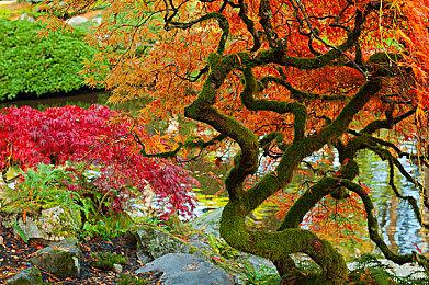 同人游戏《新仙剑奇侠传二》预热：还原剧情 升级为半回合制